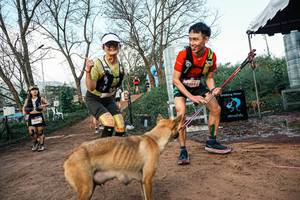 BIB: 
                            <button type="button" onclick="openModal(25457863)" class="btn btn-primary btn-sm float-right btn-popup" data-toggle="modal" data-target=".modal-high-quality">
                        <i class="fas fa-shopping-cart"></i> Add to Cart
                    </button>
                                            <button type="button" onclick="isThisMe(25457863, true)" class="btn btn-success btn-sm float-right btn-popup btn-isme hidden" data-toggle="tooltip" data-placement="bottom" title="นี่คือรูปของคุณใช่ไหม คลิกที่นี่เพื่อเอาเข้าอัลบั้ม">
                        <i class="fas fa-plus"></i> Add to album
                    </button>
                    <button type="button" onclick="isThisMe(25457863, false)" class="btn btn-warning btn-sm float-right btn-popup btn-isnotme hidden">
                        <i class="fas fa-ban"></i> Remove from album
                    </button>